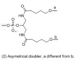 Bio-Synthesis Inc. Oligo Structure